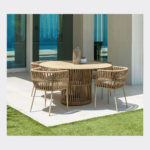 DOMINUS Dining Chair-1-g